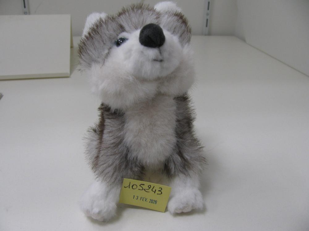 Jeux, jouets, peluches : N° 2026000865 Trouvé(e) le : Fri Feb 13 00:00:00 CET 2026