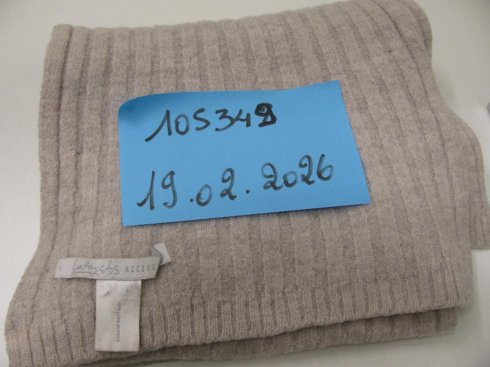 Vêtements, chaussures, accessoires : N° 2026000971 Trouvé(e) le : 19/02/2026