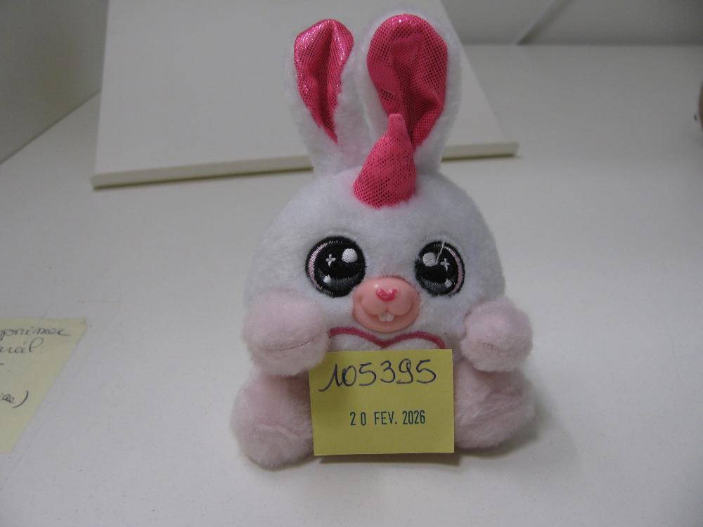 Jeux, jouets, peluches : N° 2026001017 Trouvé(e) le : Fri Feb 20 00:00:00 CET 2026