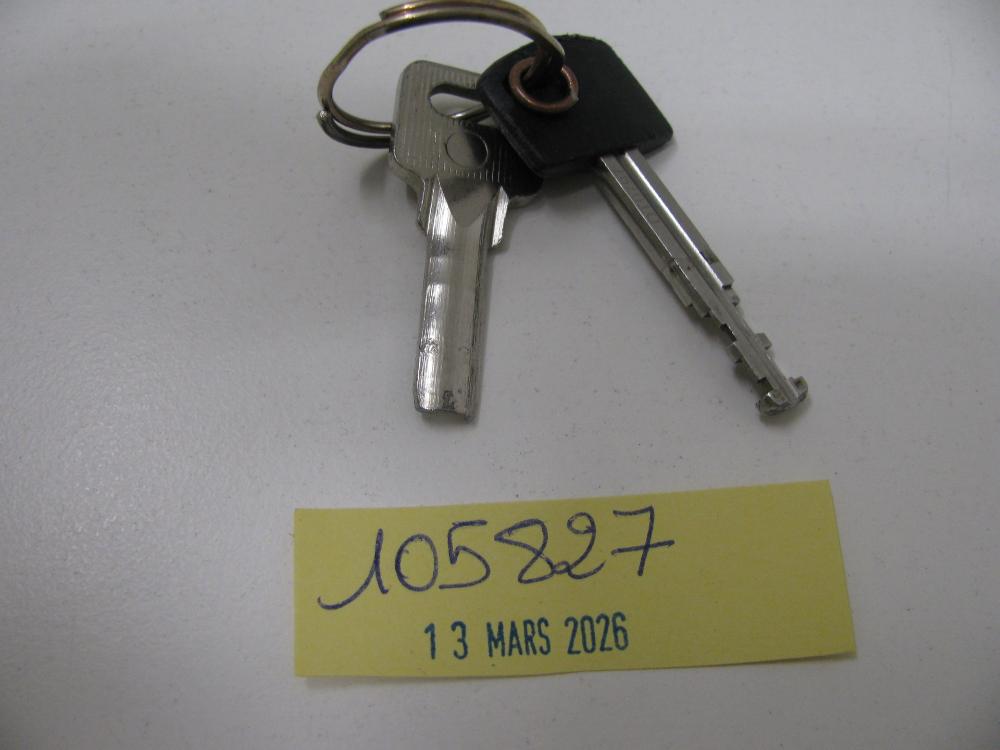 Clés : N° 2026001449 Trouvé(e) le : Fri Mar 13 00:00:00 CET 2026