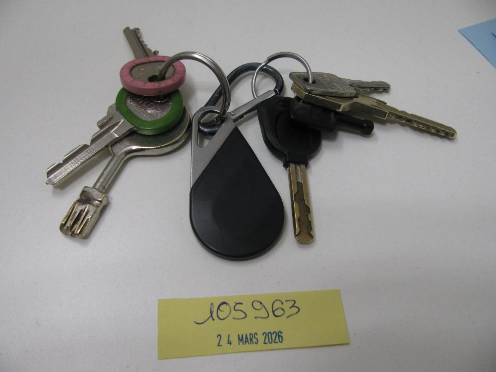 Clés : N° 2026001585 Trouvé(e) le : Tue Mar 24 00:00:00 CET 2026