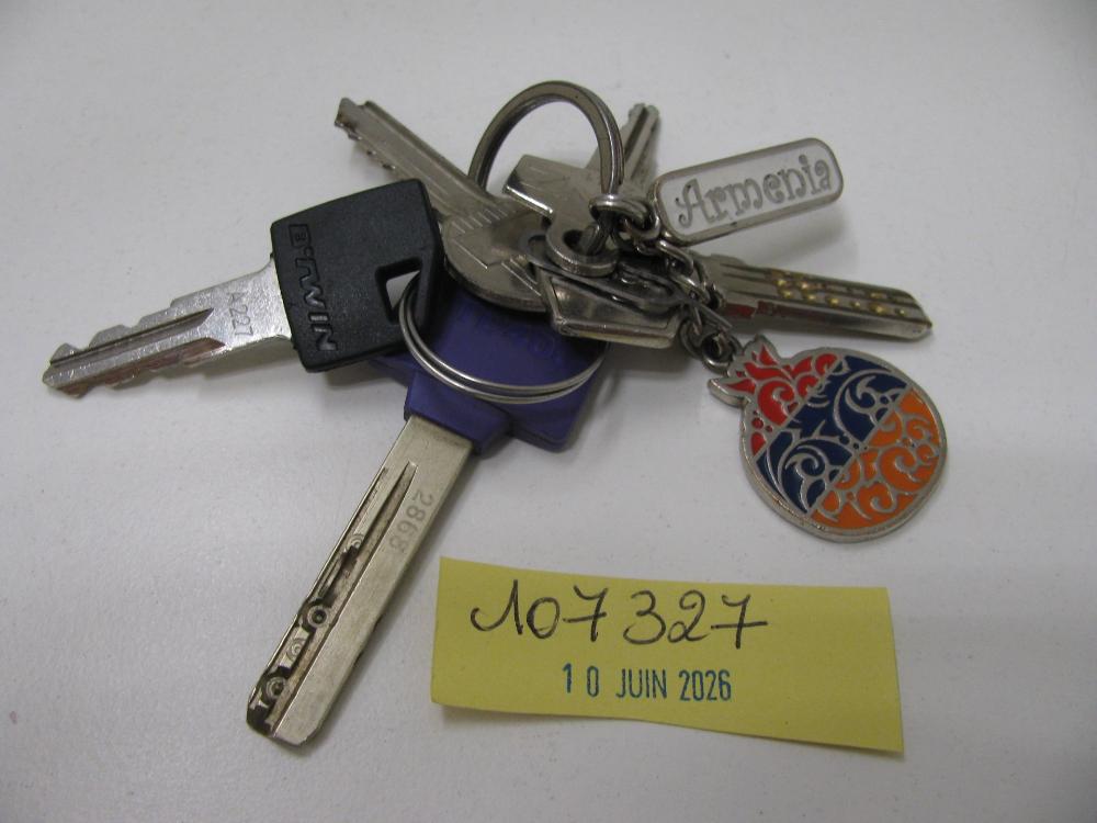Clés : N° 2026002949 Trouvé(e) le : Wed Jun 10 00:00:00 CEST 2026