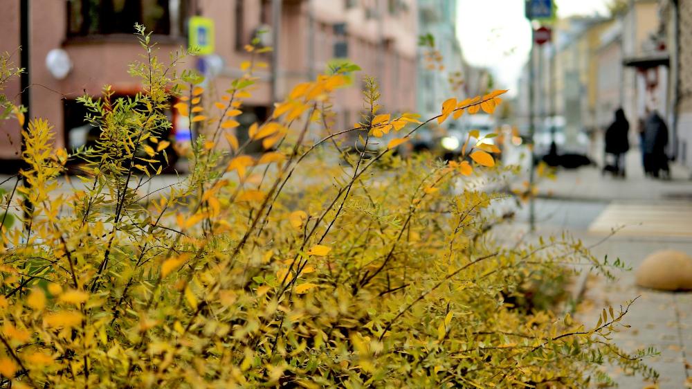 Image budget participatif