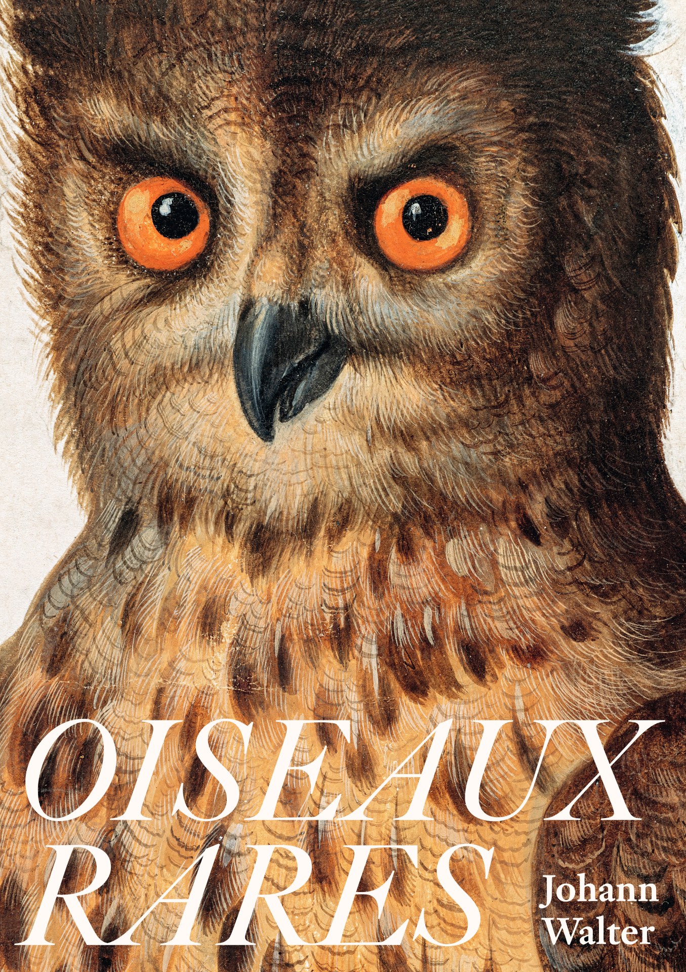 Oiseaux rares – Johann Walter
