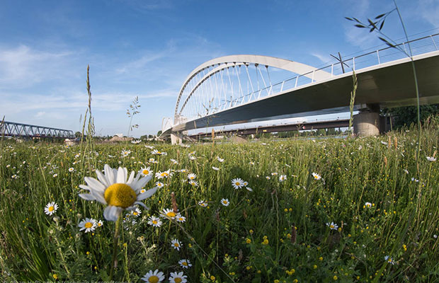 Project climate  plan 2030