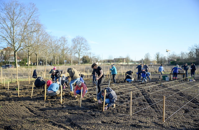 plantation citoyenne