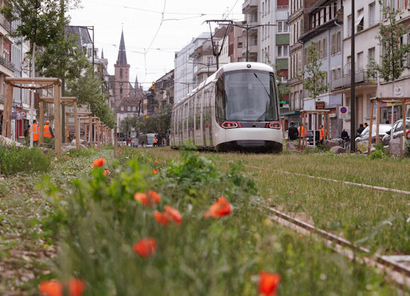 Nouvelle voie de tram rue Faubourg National