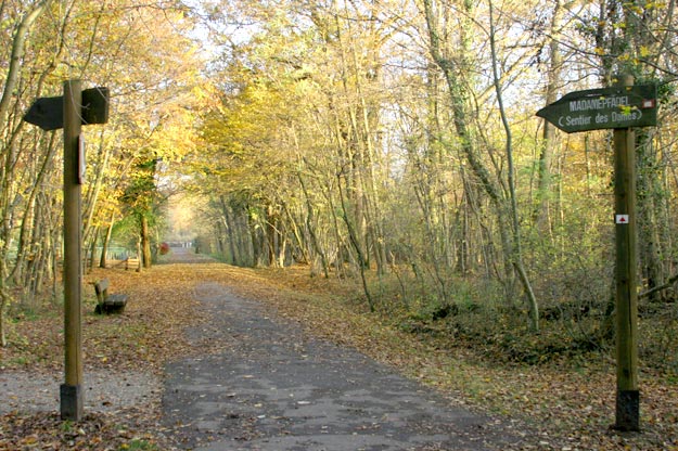 Sentier du Neuhof