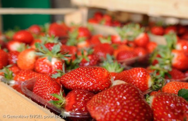 festival qu'est-ce qu'on mange - plateau de fraises