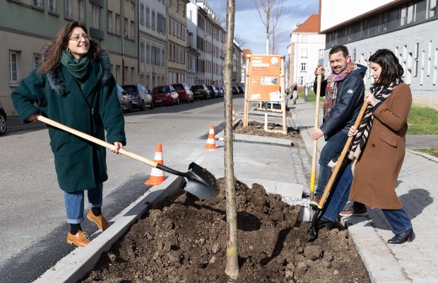 La rue du Général Zimmer compte désormais quatorze arbres, plantés dans le cadre du budget participatif et inaugurés en présence des habitants.