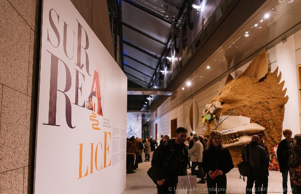 visiteurs à l'exposition SurréAlice au Musée d'Art Moderne et Contemporain de Strasbourg