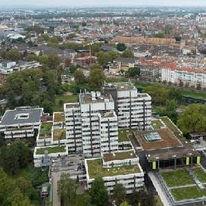 Laure Pain quitte ses fonctions au sein de l’exécutif municipal et métropolitain