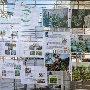 Les 48H de l’Agriculture urbaine : 25 et 26 avril prochains et ses journées Off
!