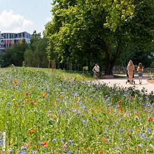 Une pause au vert, un coup de fraîcheur