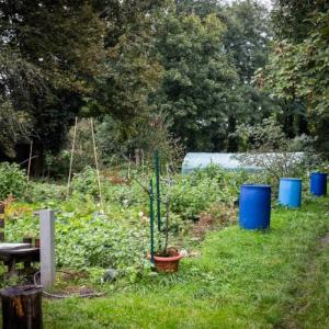 En octobre, les jardins partagés de Strasbourg sont en fête !