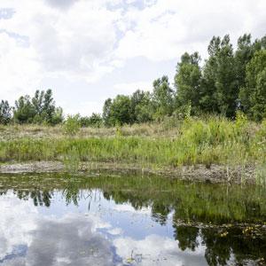 Climat : Strasbourg et l'Eurométropole mobilisées pour protéger les habitants et
préparer l'avenir